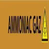 Panneau AMMONIAC GAZ 312X52 MARQUAGE T Taliaplast 730504