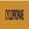Panneau CYCLOPROPANE 156X26 MARQUAGE T Taliaplast 732517