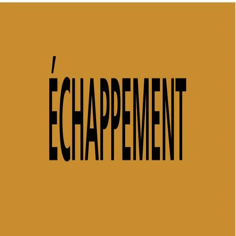 Panneau ECHAPPRMENT 222X37 MARQUAGE TU Taliaplast 731518