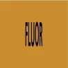 Panneau FLUOR 312X52 MARQUAGE TUYAUTER Taliaplast 730519