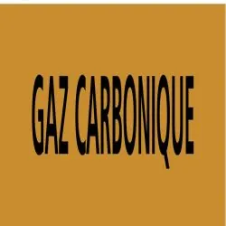 Panneau GAZ CARBONIQUE 156X26 MARQUAGE Taliaplast 732522