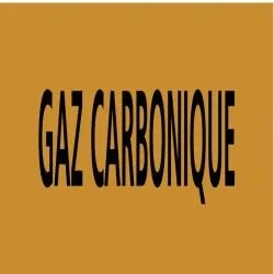 Panneau GAZ CARBONIQUE 222X37 MARQUAGE Taliaplast 731522