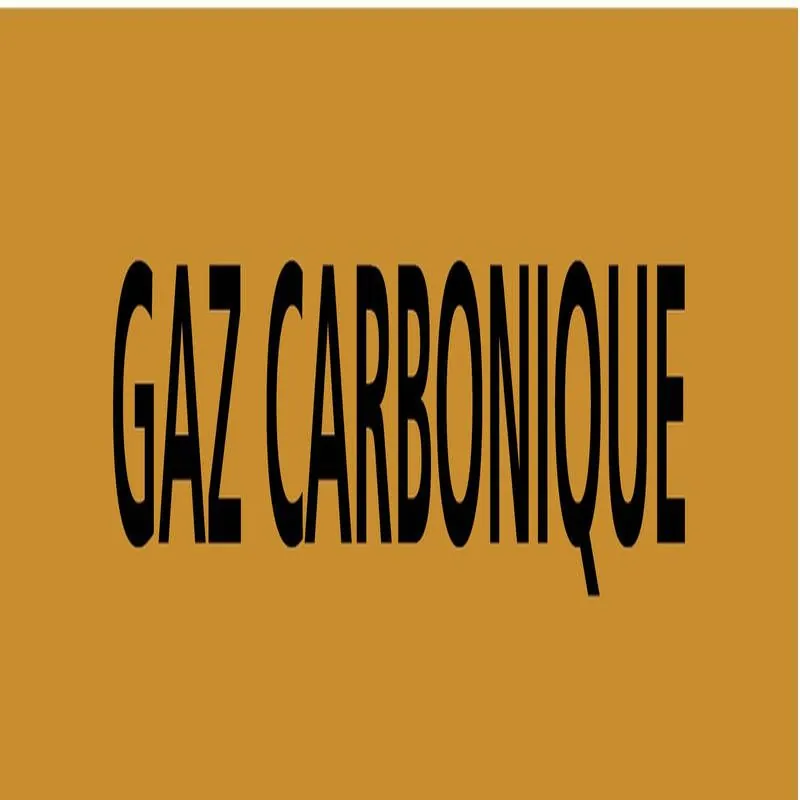 Panneau GAZ CARBONIQUE 222X37 MARQUAGE Taliaplast 731522