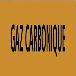Panneau GAZ CARBONIQUE 312X52 MARQUAGE Taliaplast 730522