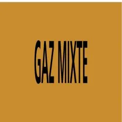 Panneau GAZ MIXTE 156X26 MARQUAGE TUYA Taliaplast 732526
