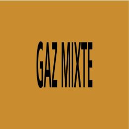 Panneau GAZ MIXTE 312X52 MARQUAGE TUYA Taliaplast 730526