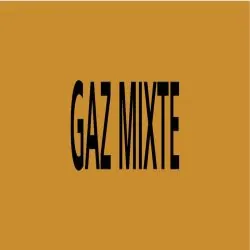 Panneau GAZ MIXTE 312X52 MARQUAGE TUYA Taliaplast 730526