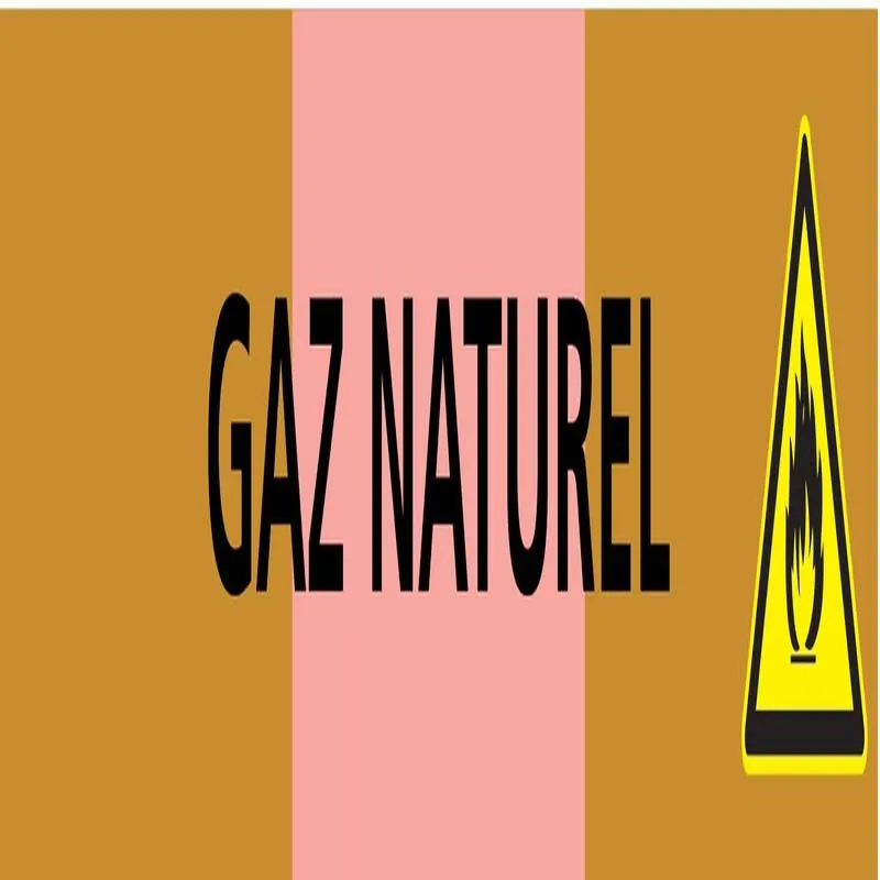 Panneau GAZ NATUREL 222X37 MARQUAGE TU Taliaplast 731527