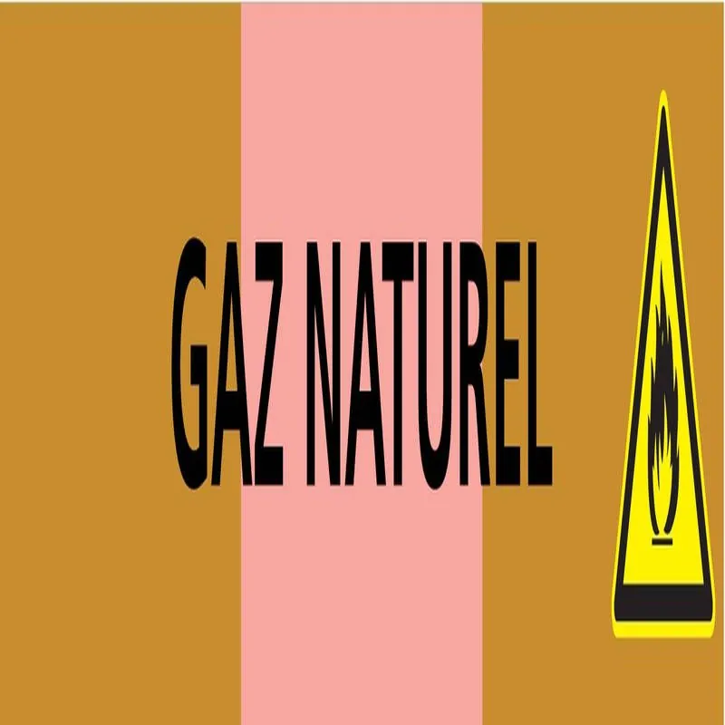 Panneau GAZ NATUREL 312X52 MARQUAGE TU Taliaplast 730527