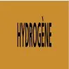 Panneau HYDROGENE 222X37 MARQUAGE TUYA Taliaplast 731535