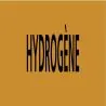 Panneau HYDROGENE 312X52 MARQUAGE TUYA Taliaplast 730535