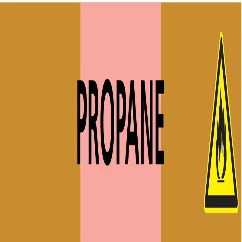 Panneau PROPANE 222X37 MARQUAGE TUYAUT Taliaplast 731543