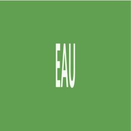 Panneau EAU 312x52mm (10 ADHESIFS POUR Taliaplast 730112