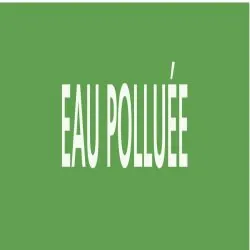Panneau EAU POLLUÉE 222x37mm (20 ADHES Taliaplast 731185