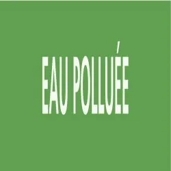 Panneau EAU POLLUEE 312X52 MARQUAGE TU Taliaplast 730185