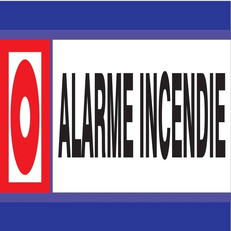 Panneau ALARME INCENDIE D-SIGN 180X45 Taliaplast 630101