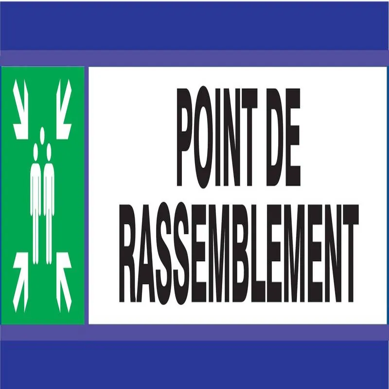 Panneau POINT DE RASSEMBLEMENT D-SIGN Taliaplast 630407