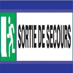 Panneau SORTIE DE SECOURS D-SIGN 180X4 Taliaplast 630408