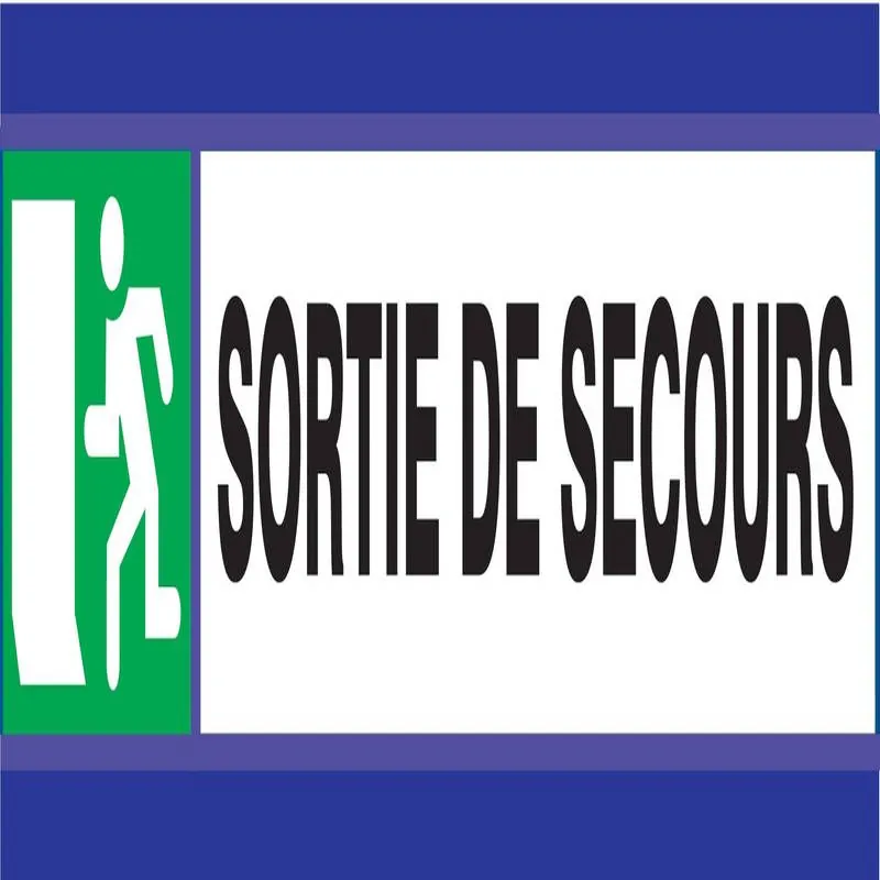 Panneau SORTIE DE SECOURS D-SIGN 180X4 Taliaplast 630408