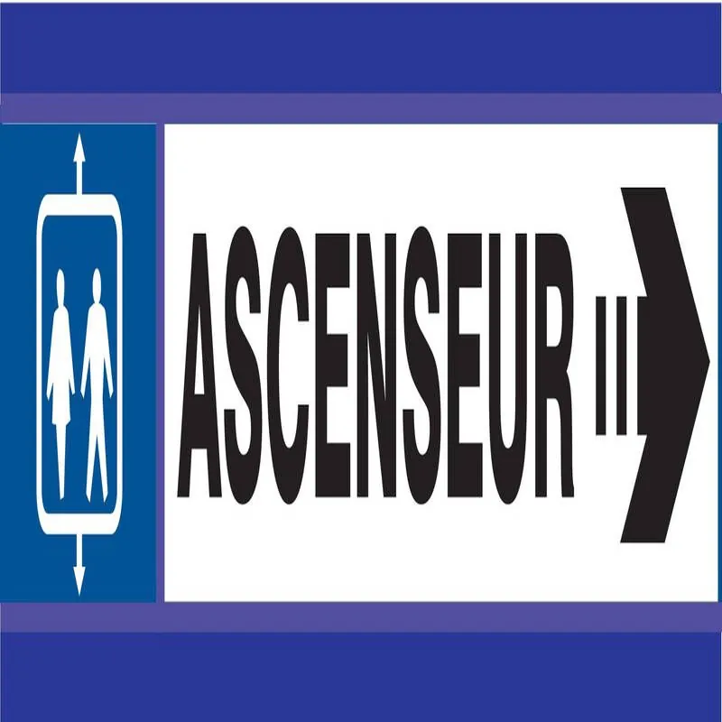 Panneau ASCENSEUR FLECHE A DROITE D-SI Taliaplast 630603