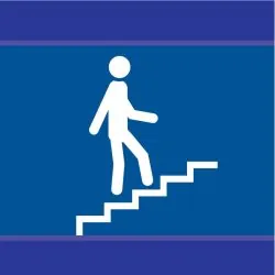 Panneau ESCALIER EN MONTEE D-SIGN 100X Taliaplast 637613