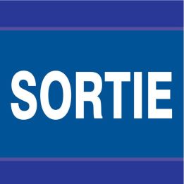 Panneau SORTIE D-SIGN 100x100 Taliaplast 637626