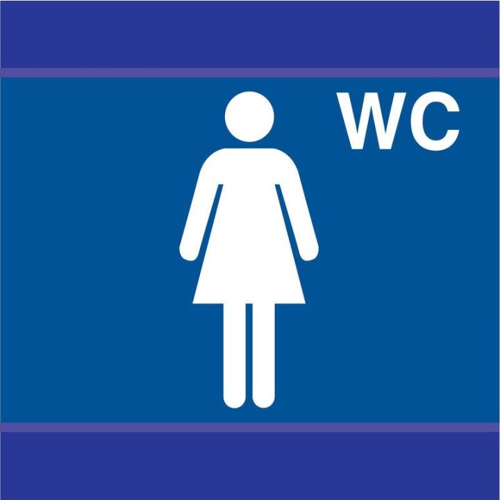 Panneau TOILETTES DAMES D-SIGN 100X100 Taliaplast 637633