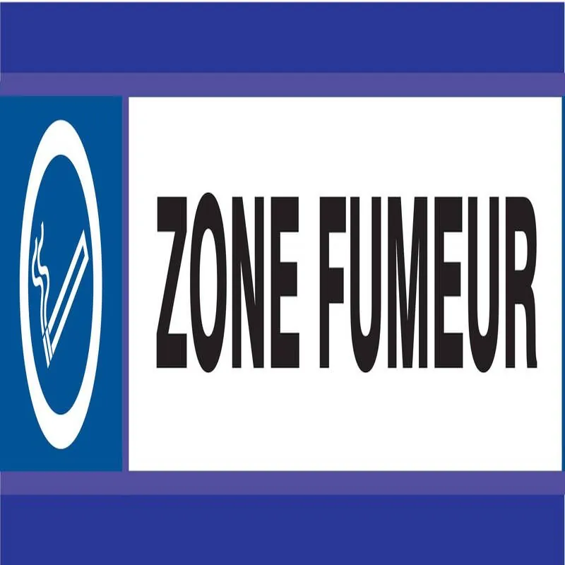 Panneau ZONE FUMEURS D-SIGN 180X45 Taliaplast 630636