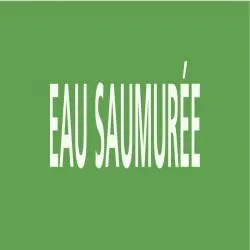 Panneau EAU SAUMURÉE 312x52mm (10 ADHE Taliaplast 730194