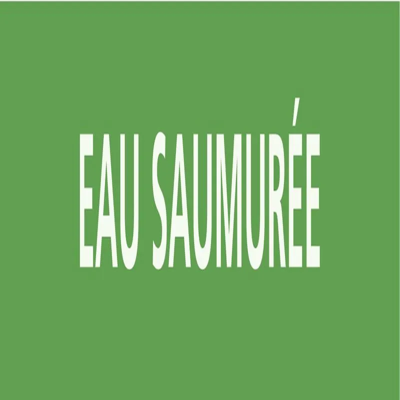 Panneau EAU SAUMURÉE 312x52mm (10 ADHE Taliaplast 730194