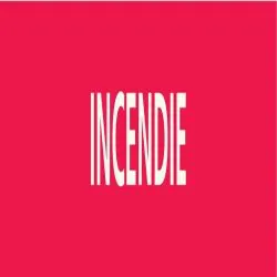 Panneau INCENDIE 312X52 MARQUAGE TUYAU Taliaplast 730401