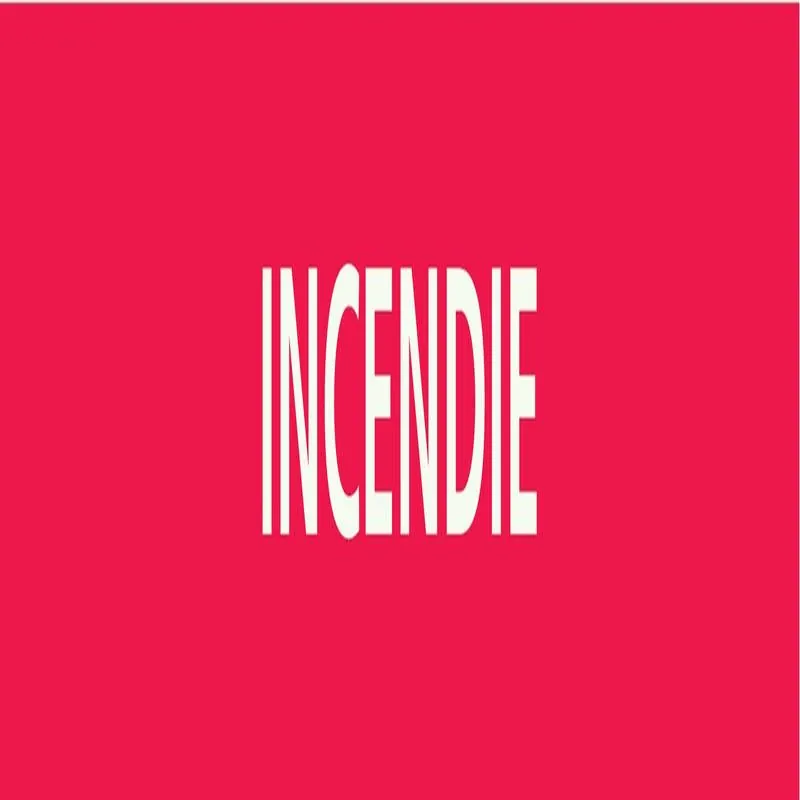 Panneau INCENDIE 312X52 MARQUAGE TUYAU Taliaplast 730401