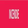 Panneau INCENDIE 312X52 MARQUAGE TUYAU Taliaplast 730401