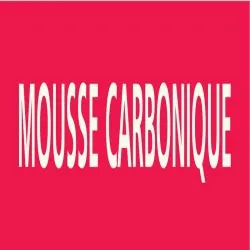 Panneau MOUSSE CARBONIQUE 312X52 MARQU Taliaplast 730406