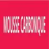 Panneau MOUSSE CARBONIQUE 312X52 MARQU Taliaplast 730406