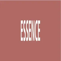 Panneau ESSENCE 312X52 MARQUAGE TUYAUT Taliaplast 730610