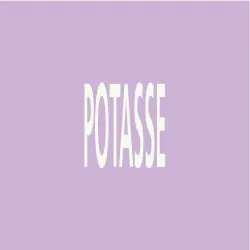 Panneau POTASSE 312X52 MARQUAGE TUYAUT Taliaplast 730741
