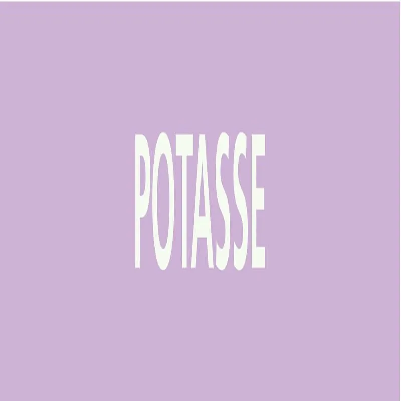 Panneau POTASSE 312X52 MARQUAGE TUYAUT Taliaplast 730741