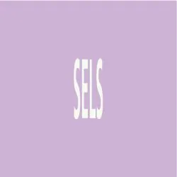 Panneau SELS 312X52 MARQUAGE TUYAUTERI Taliaplast 730742