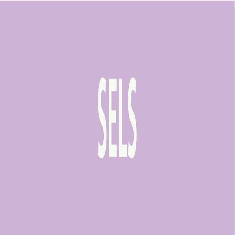Panneau SELS 312X52 MARQUAGE TUYAUTERI Taliaplast 730742