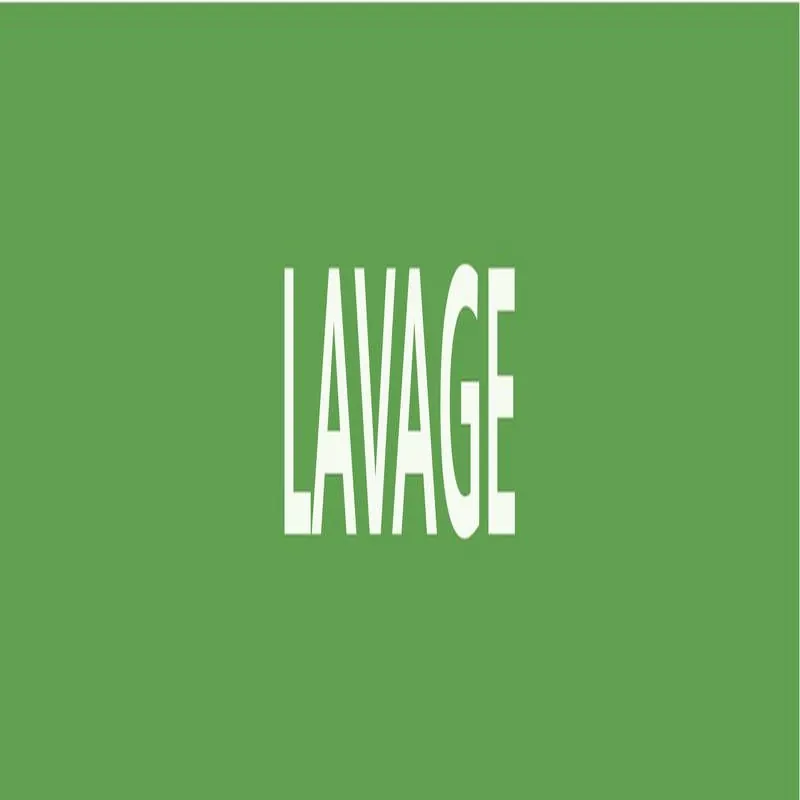 Panneau LAVAGE 312x52mm (10 ADHESIFS P Taliaplast 730803