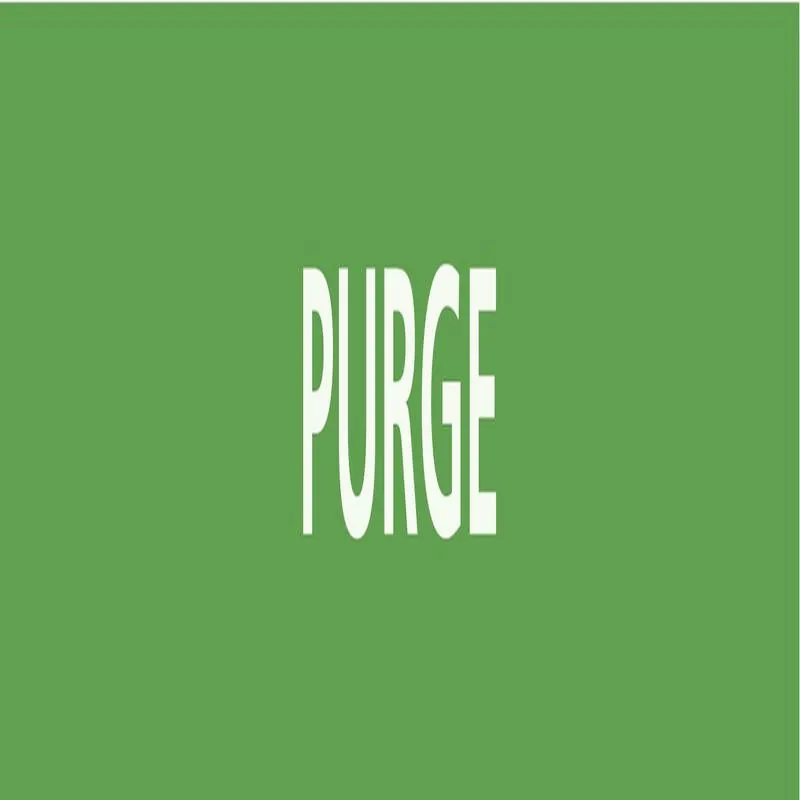 Panneau PURGE 312x52mm (10 ADHESIFS PO Taliaplast 730804
