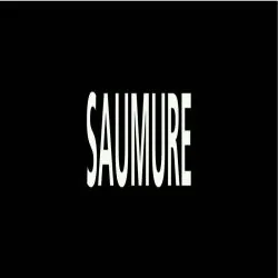 Panneau SAUMURE 312x52mm (10 ADHESIFS Taliaplast 730819