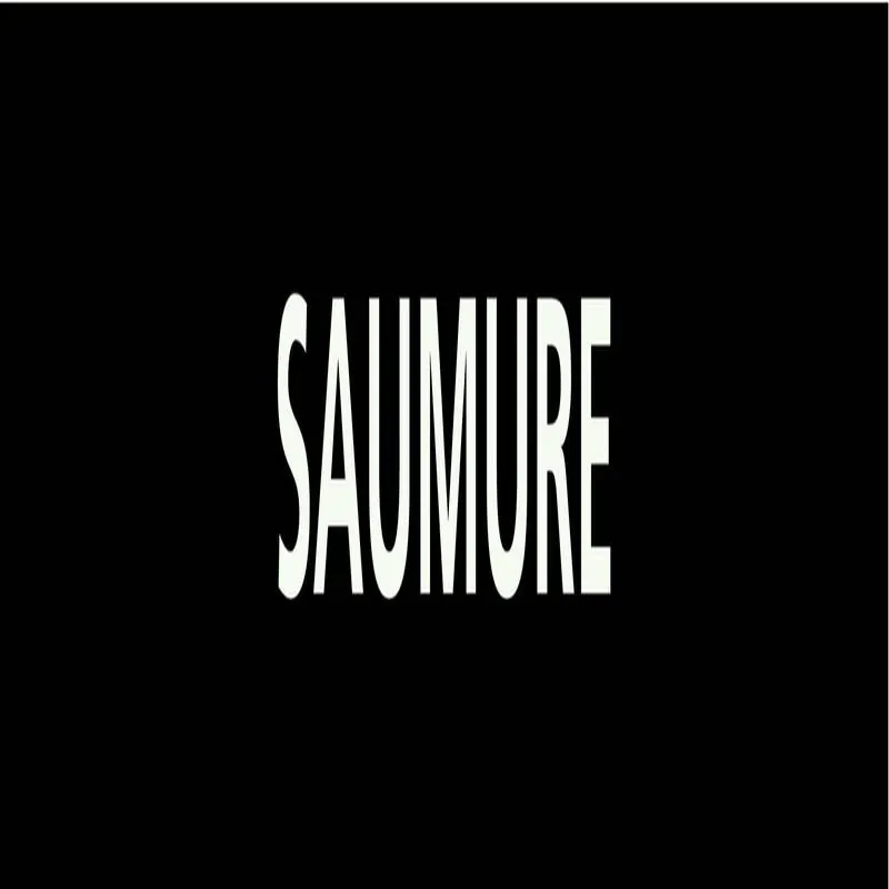 Panneau SAUMURE 312x52mm (10 ADHESIFS Taliaplast 730819