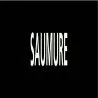 Panneau SAUMURE 312x52mm (10 ADHESIFS Taliaplast 730819