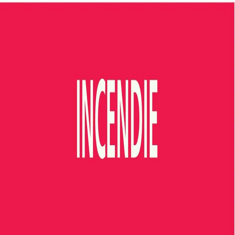 Panneau INCENDIE 222X37 MARQUAGE TUYAU Taliaplast 731401