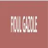 Panneau FIOUL GAZOLE 222X37 MARQUAGE T Taliaplast 731612