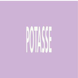 Panneau POTASSE 222X37 MARQUAGE TUYAUT Taliaplast 731741