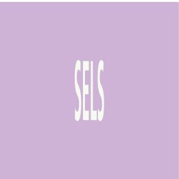 Panneau SELS 222X37 MARQUAGE TUYAUTERI Taliaplast 731742