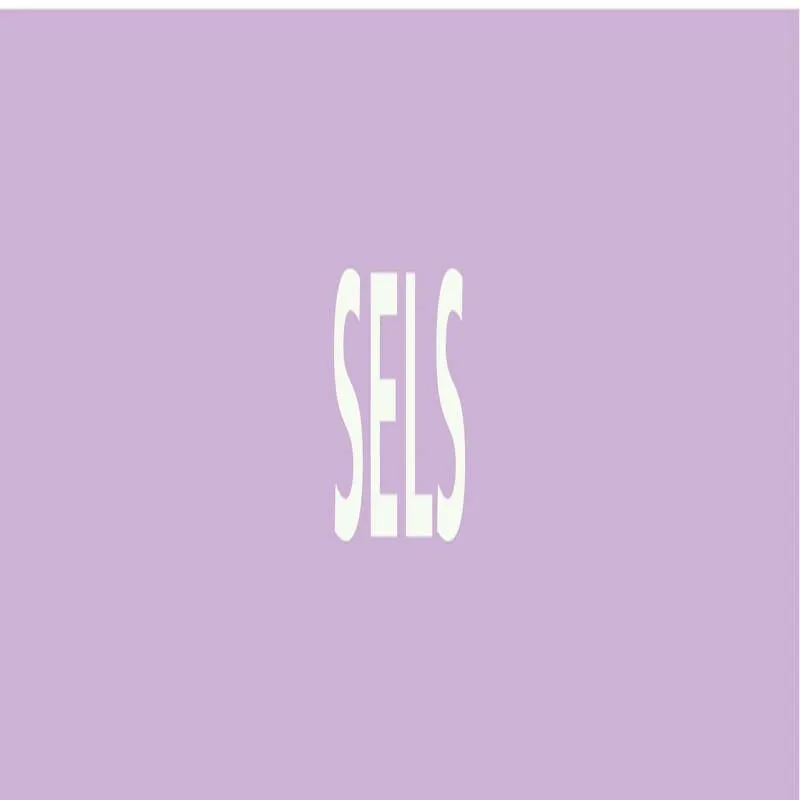 Panneau SELS 222X37 MARQUAGE TUYAUTERI Taliaplast 731742